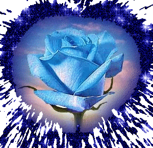 LA ROSE BLEU